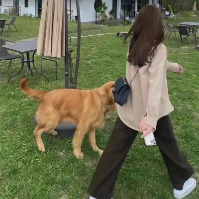 爱的捆绑